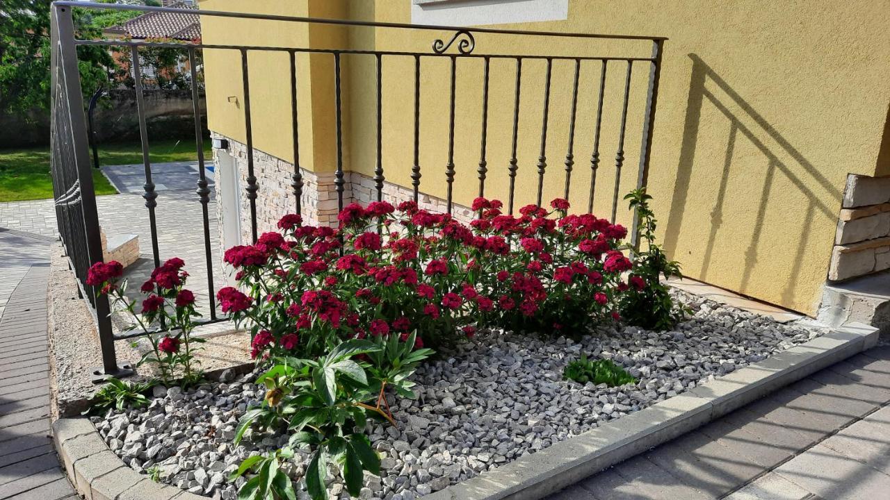 Apartman Ela Donji Rukavac Exteriör bild